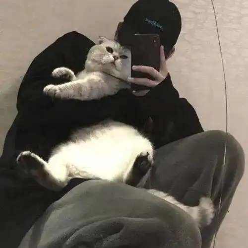 微信头像丨男生,女生,绿色头像