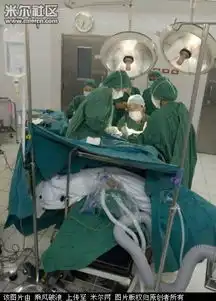 华中第一变性美女用身体诈骗巨额钱财