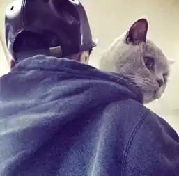 几度深情女头男头情头皮肤关注处qy16堆糖,美好生活研究所