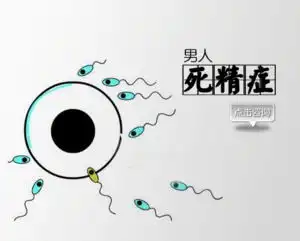 精子质量差有什么表现