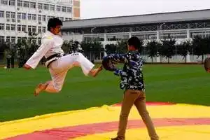 德阳这6所学校霸气竟然被教育部点名了皆同清华大学有你的母校吗