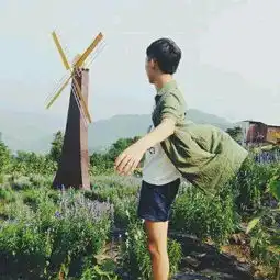 求这张图的高清原图