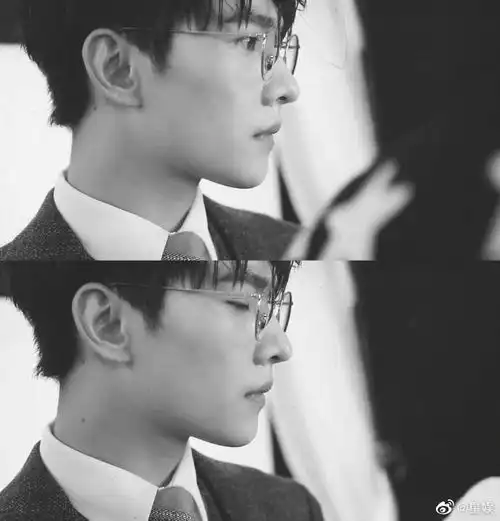 抓rs眼镜帅哥图鉴原名男明星的眼镜杀