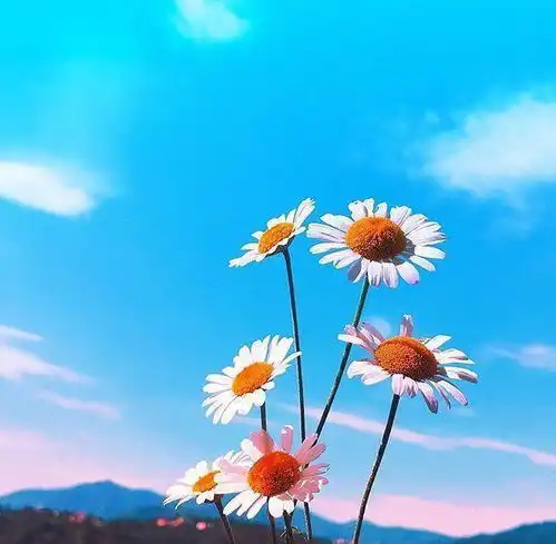 心态好格局大的心灵鸡汤,经典至极,大彻大悟