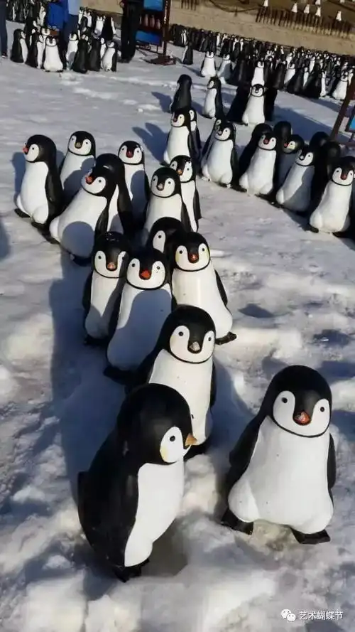 仅68元神秘百万格桑花海等你来赏