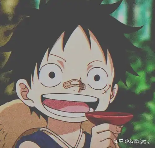 想问一句海贼王的台词,日语原句的,有大神告知一下吗