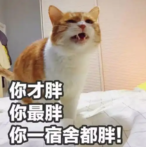 适合学生党的一周瘦身食谱,月瘦十斤不是梦