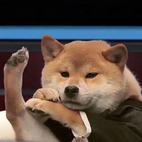 头像睡对了是爱情睡错了是合作愉快