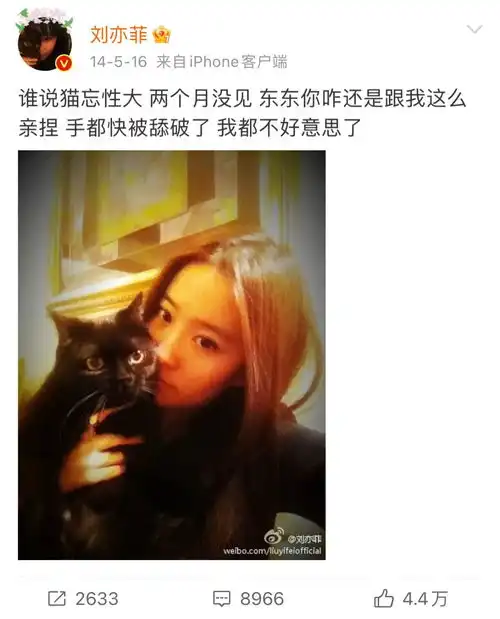 屌丝刘亦菲,依然是女孩