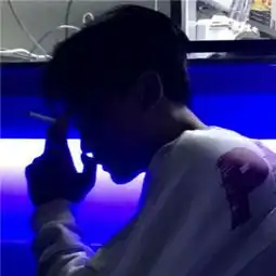 秦腔二进宫五更三点月昏黄