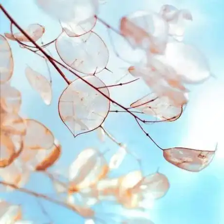 新年特辑我如何爱你