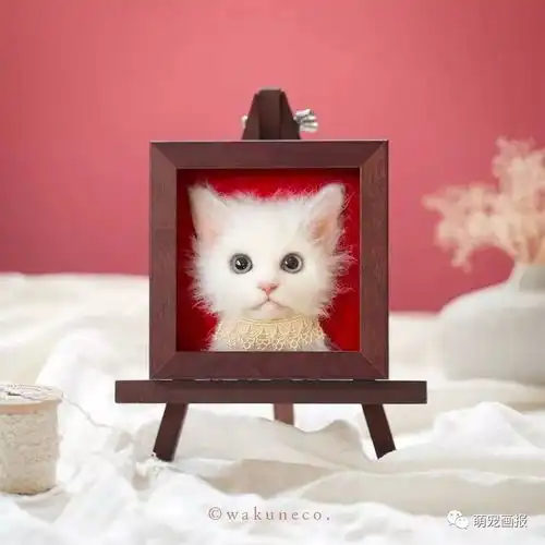 羊毛在艺术家的手里,化身为栩栩如生的3d猫咪