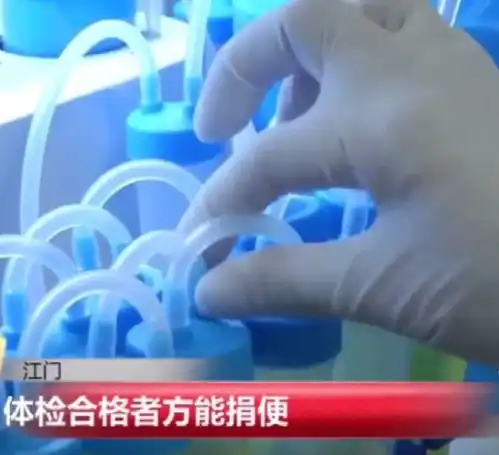 居然是真的有偿捐屎500元一次,男女不限,广东人快报名