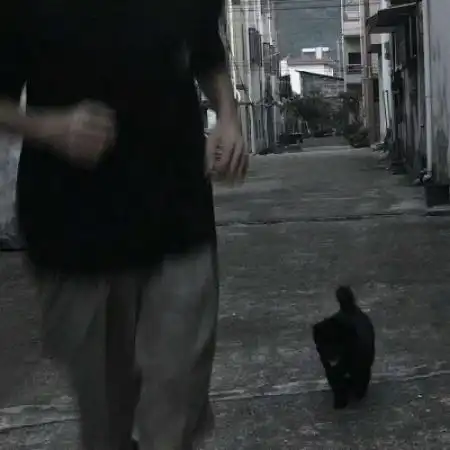 小清新文艺男头一缕阳光把梦想照亮