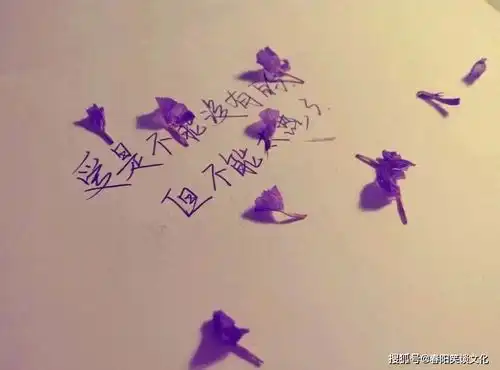 让人失望心寒的伤感句子,句句催人泪下,送给心灰意冷的你