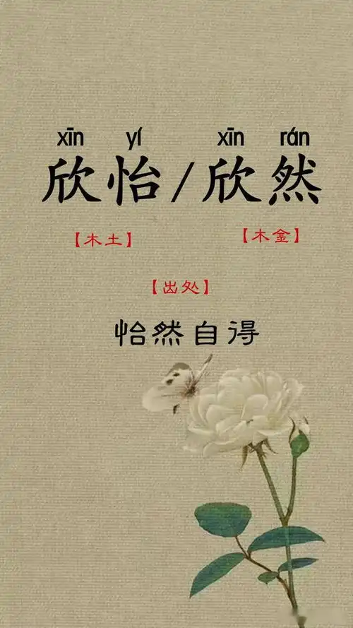 一儿一女取好名,龙凤胎吉祥好名