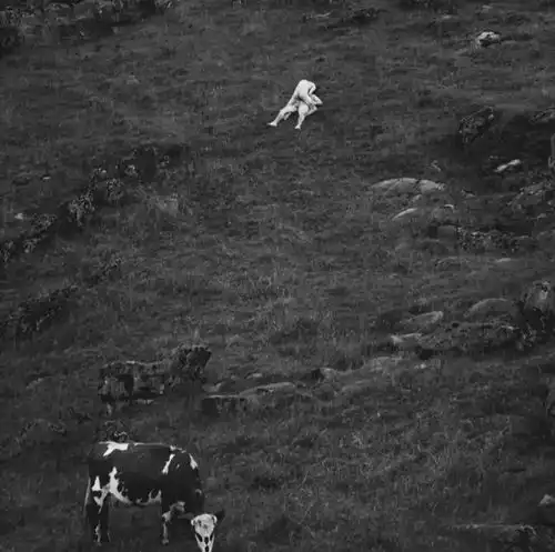 你的手机桌面是怎样的