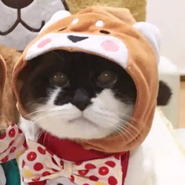 城市里的夜风很大,没有我的地方记得早回家娱乐频道