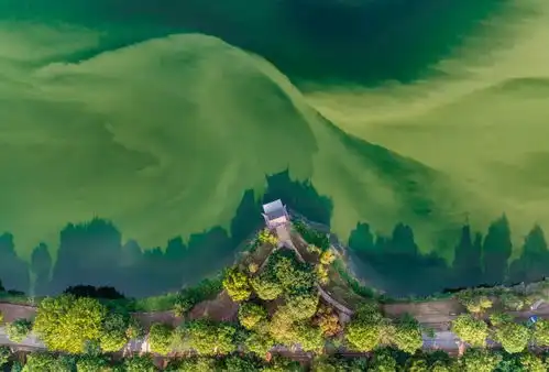 颜值爆表松山湖大片来袭,解锁自然之美的n种姿势