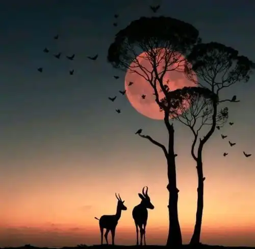 不要求门当户对,但想进咱家门陪嫁至少20万不结了