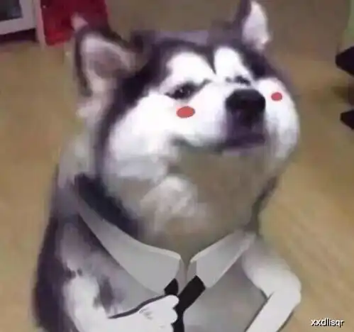 微信翻译还有这功能是我打开方式不对吧