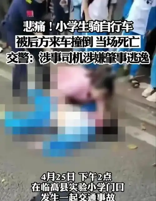 痛心海南临高12岁小学生被撞身亡,哥哥不能自理,肇事司机15岁