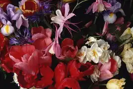 素材图片设计素材图片0055.jpg网页制作大宝库物品类素材图库