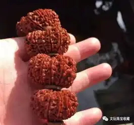 越丑越值钱文玩就是这么怪逼