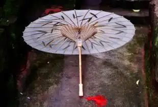 12星座专属古风纸伞,狮子座竹叶复古风,处女座戏曲中国风