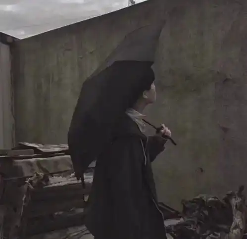 男生头像等不到双子座,流星雨洒满天际