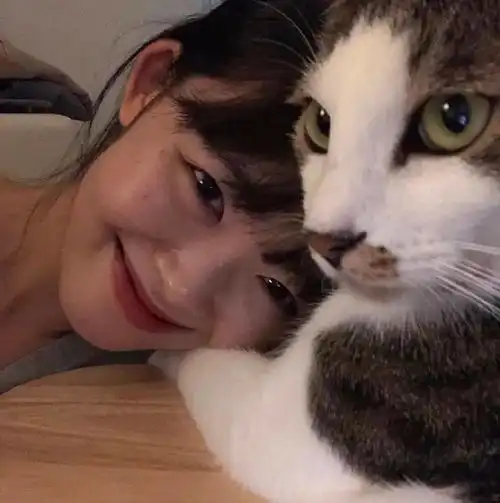 头像英文朋友圈文案已开启