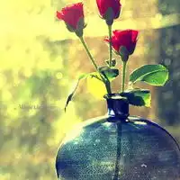 个性唯美清新意境头像尽享风中那淡淡的花香和迷人的爽意