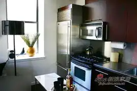 32平单身男人黑白雅居小空间大花样10