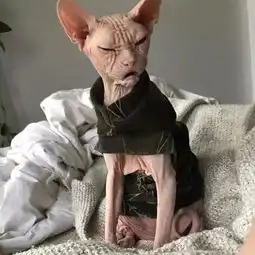 女生有胸垫,男生有xx垫吗