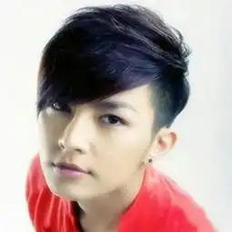 关于毛碎发型图