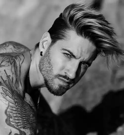 最帅铲屎官花臂纹身男模练出六块腹肌和人鱼线,竟然是因为这只成精的猫