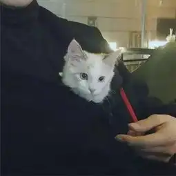 男生头像久违的男生头像