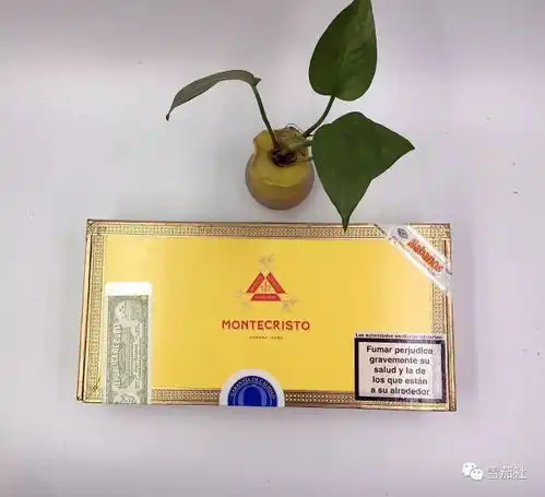超男子气概的古巴蒙特雪茄,最值得尝试的7款单品