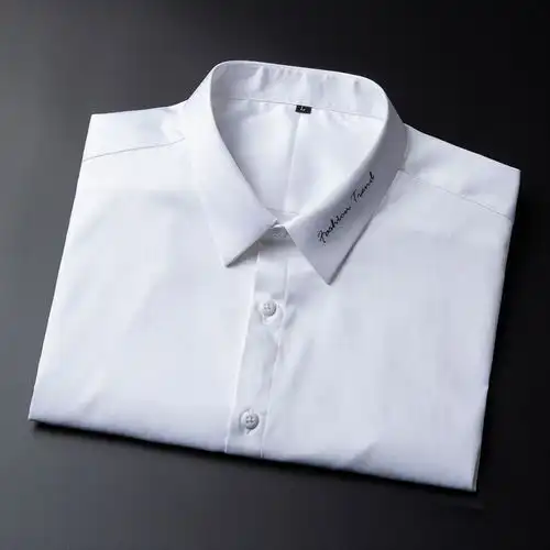 汤河之家2020夏季新款白衬衫男士青年商务修身短袖纯色刺绣职业男衬衣a