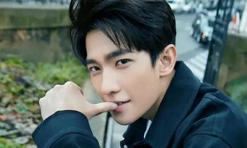 哪些男星适合演斯文败类白敬亭刘昊然,谁是你的腹黑王子