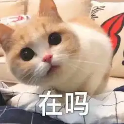 男朋友惹你生气,用这些表情警告他,分分钟让他变小奶狗