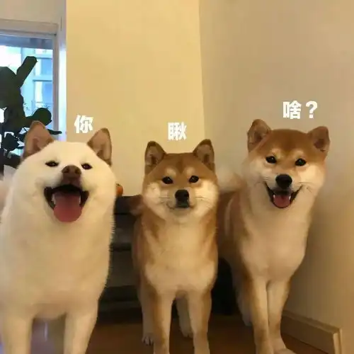 头像背景图套图