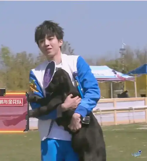 王俊凯臂力超凡男友力max,四舍五入也一定可以抱的动我