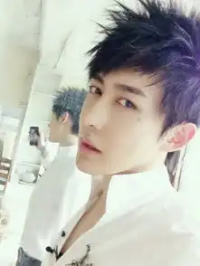 长脸男生适合什么发型,帅一点的,不要烫染,刘海长一点最好