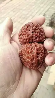 30岁以上的男人就像文玩葫芦