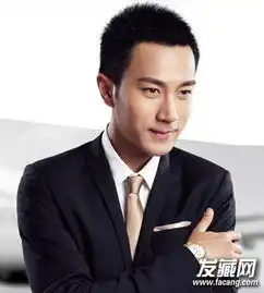 刘恺威发型图片时尚大背头发型