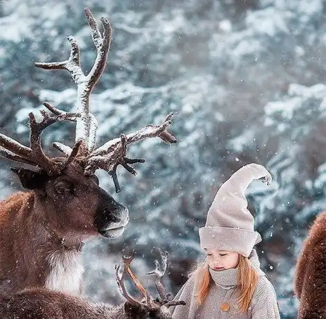 双子男对得不到的女人