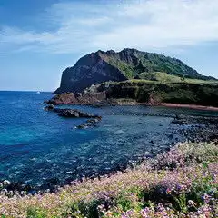 民俗博物馆图片济州岛风景图片途牛旅游网
