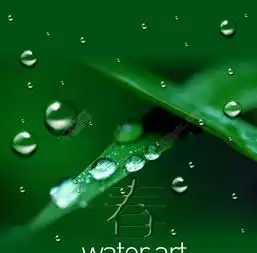 绿色植物水珠背景素材模板免费下载psd格式1500像素编号13660332千图网