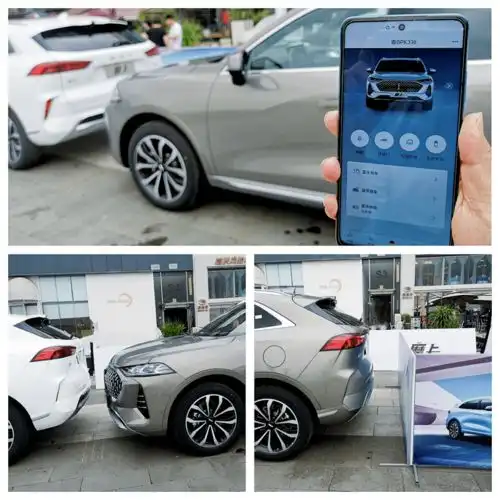 wey你是一杯成熟的摩卡了,该有自己的智慧了